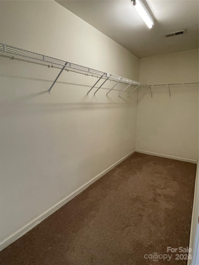 walk in closet with dark colored carpet