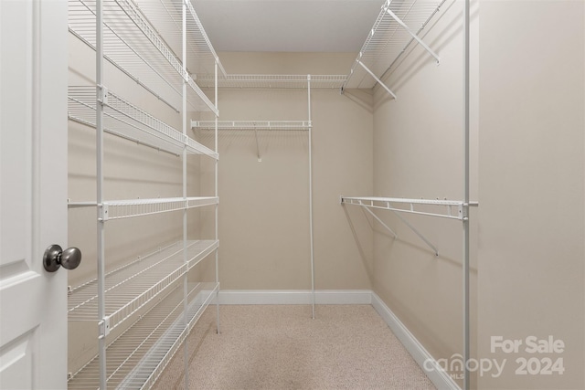 spacious closet featuring carpet floors