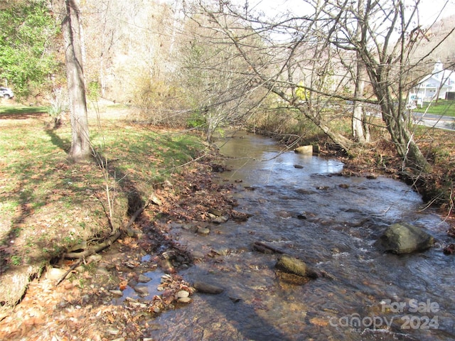 view of local wilderness