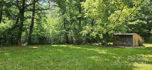 view of yard with a storage unit