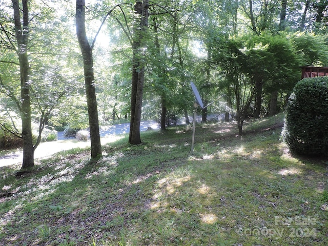 2271 Gouges Creek Rd, Spruce Pine, NC 28777 - view of yard