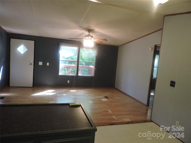 foyer featuring ceiling fan and wood-type flooring