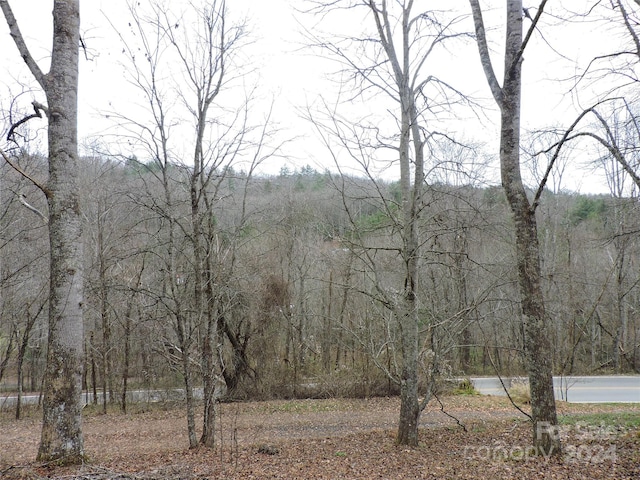 2271 Gouges Creek Rd, Spruce Pine, NC 28777 - view of mountain backdrop with a heavily wooded area