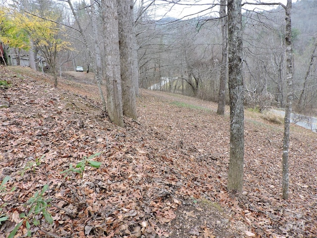 2271 Gouges Creek Rd, Spruce Pine, NC 28777 - view of yard