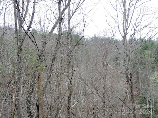 2271 Gouges Creek Rd, Spruce Pine, NC 28777 - view of woods
