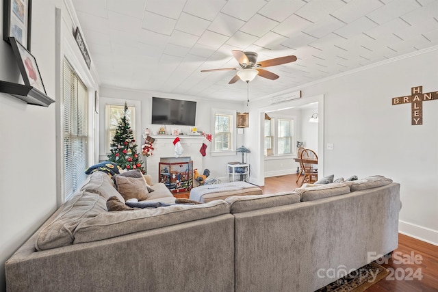 living room featuring crown molding, ceiling fan, hardwood / wood-style floors, and a healthy amount of sunlight