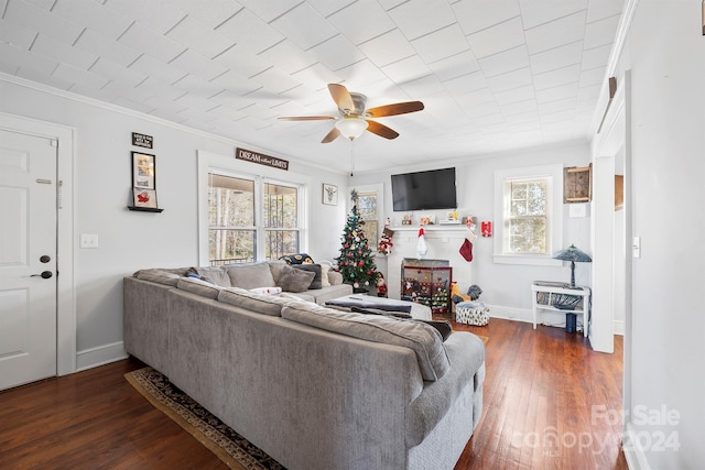 living room with dark hardwood / wood-style floors, ceiling fan, and crown molding