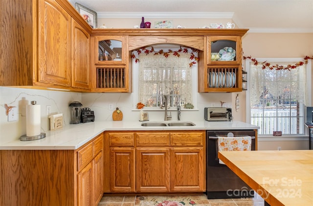 kitchen with dishwasher, ornamental molding, sink, and a wealth of natural light