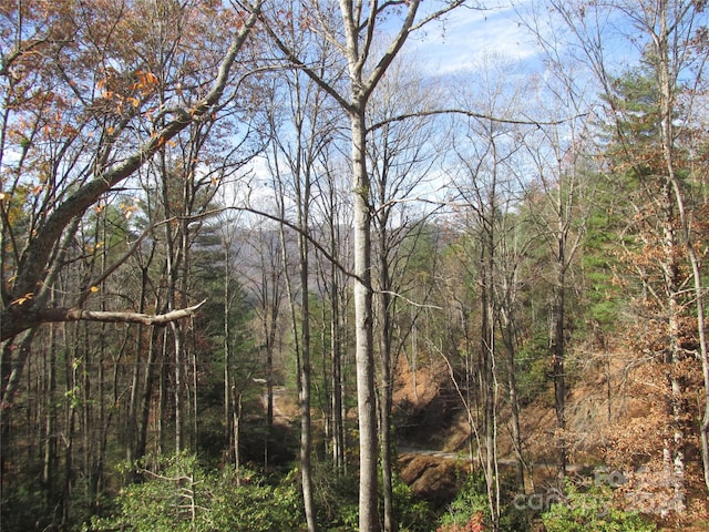 view of local wilderness