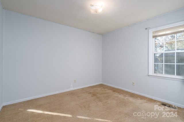 spare room with light carpet