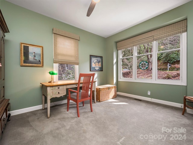14 Wild Ivy Run, Hendersonville, NC 28739 - photo 18