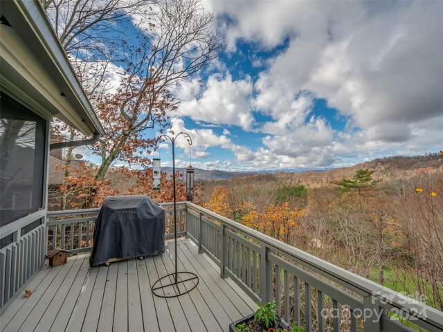 14 Wild Ivy Run, Hendersonville, NC 28739 - photo 22