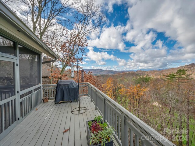14 Wild Ivy Run, Hendersonville, NC 28739 - photo 23