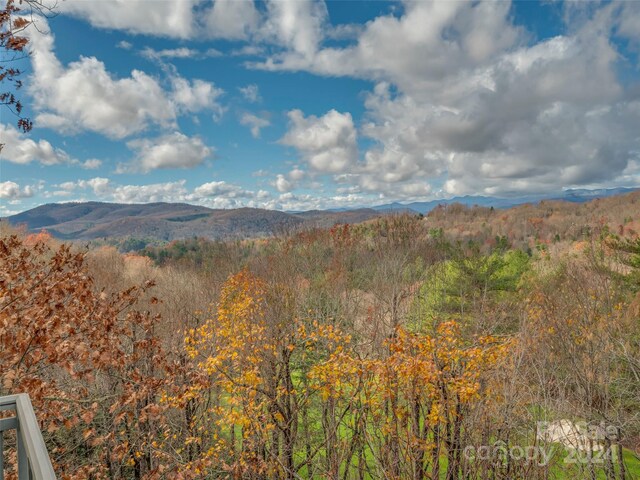 14 Wild Ivy Run, Hendersonville, NC 28739 - photo 24