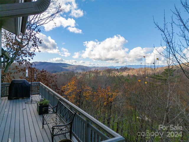 14 Wild Ivy Run, Hendersonville, NC 28739 - photo 25