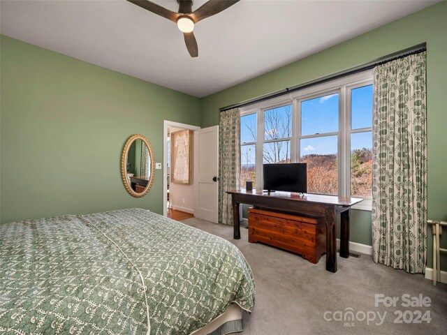 14 Wild Ivy Run, Hendersonville, NC 28739 - photo 27