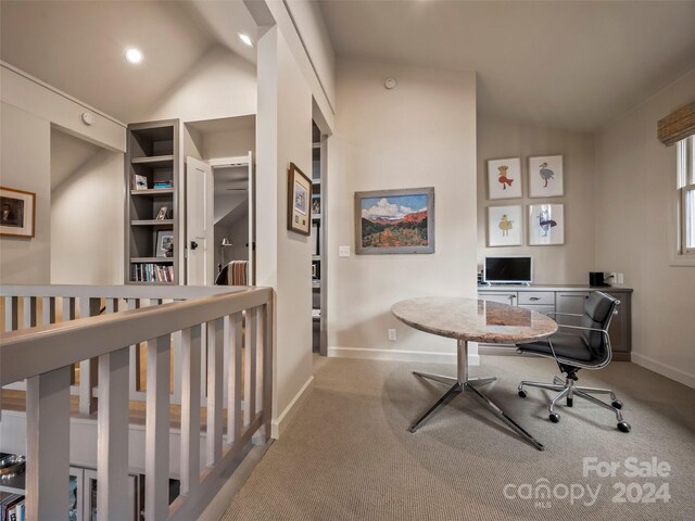 14 Wild Ivy Run, Hendersonville, NC 28739 - photo 31