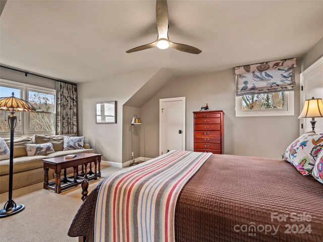 14 Wild Ivy Run, Hendersonville, NC 28739 - photo 32
