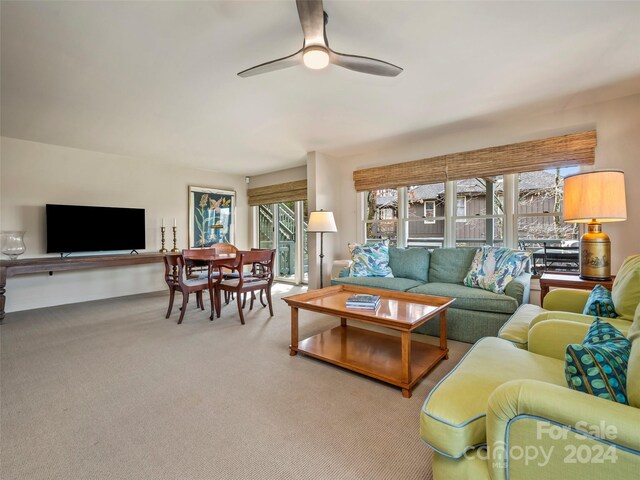 14 Wild Ivy Run, Hendersonville, NC 28739 - photo 38