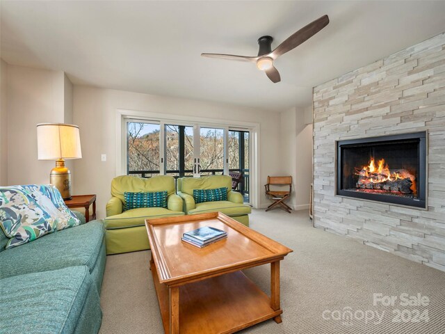 14 Wild Ivy Run, Hendersonville, NC 28739 - photo 39