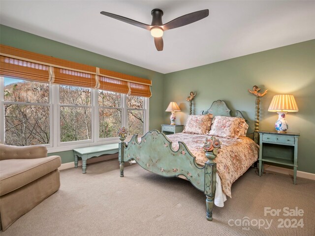 14 Wild Ivy Run, Hendersonville, NC 28739 - photo 42