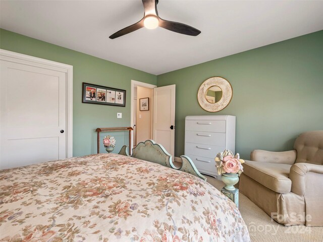 14 Wild Ivy Run, Hendersonville, NC 28739 - photo 43