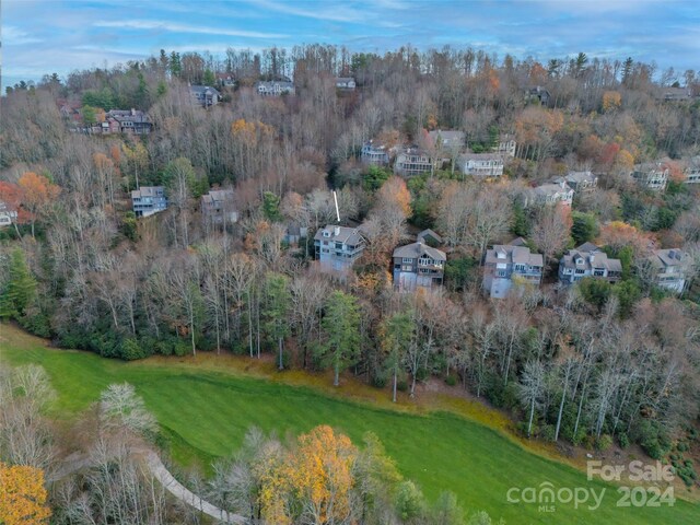 14 Wild Ivy Run, Hendersonville, NC 28739 - photo 45
