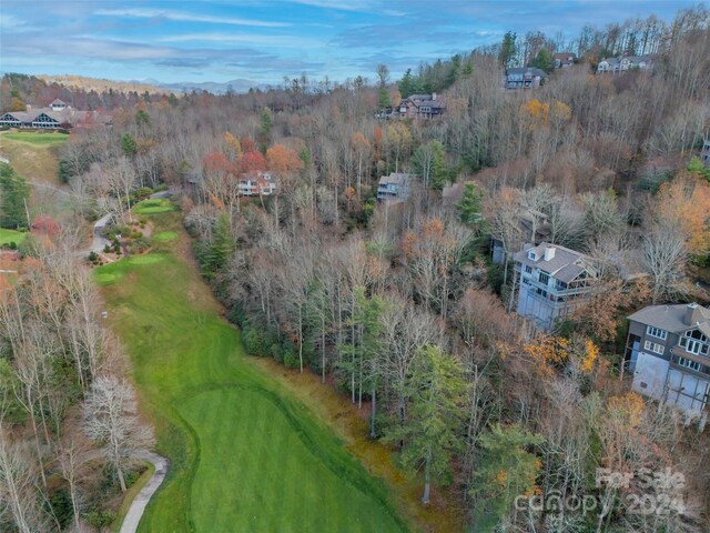 14 Wild Ivy Run, Hendersonville, NC 28739 - photo 46