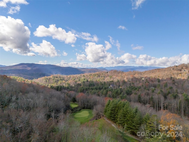 14 Wild Ivy Run, Hendersonville, NC 28739 - photo 47