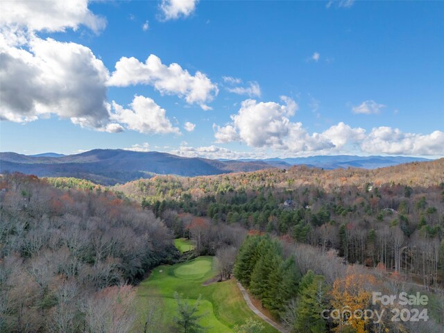 14 Wild Ivy Run, Hendersonville, NC 28739 - photo 48