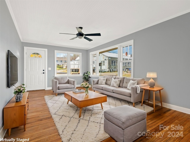 living room featuring ceiling fan, light hardwood / wood-style floors, and ornamental molding