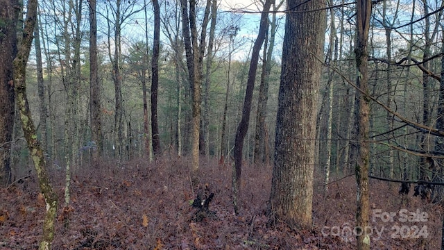 9999 Cedar Ln, Brevard, NC 28712