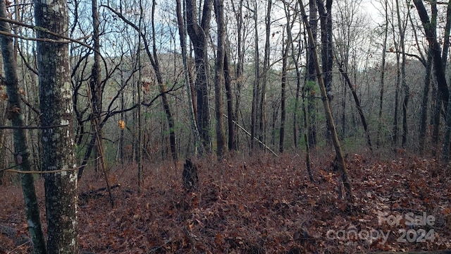 9999 Cedar Ln, Brevard, NC 28712