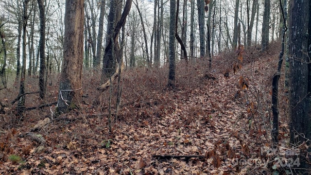 9999 Cedar Ln, Brevard, NC 28712