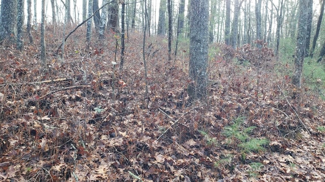 9999 Cedar Ln, Brevard, NC 28712