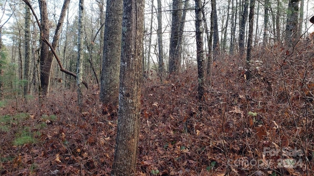 9999 Cedar Ln, Brevard, NC 28712