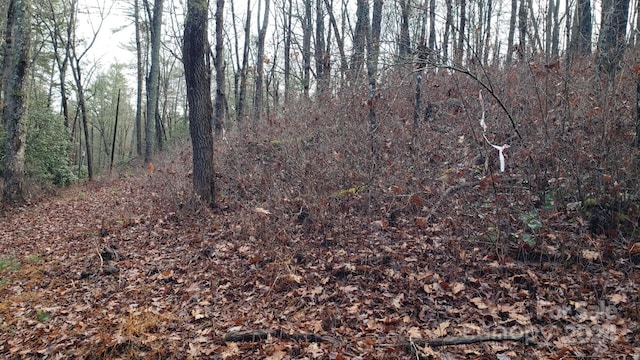 9999 Cedar Ln, Brevard, NC 28712