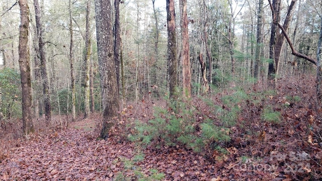 9999 Cedar Ln, Brevard, NC 28712