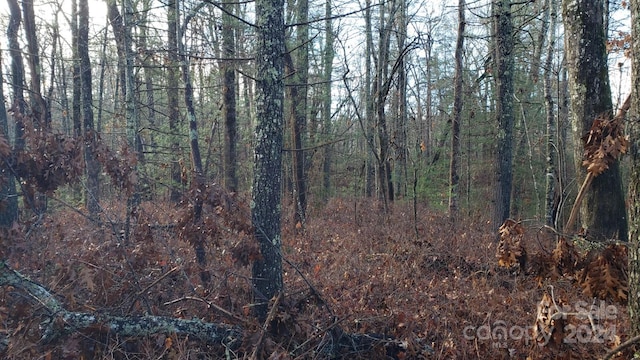9999 Cedar Ln, Brevard, NC 28712