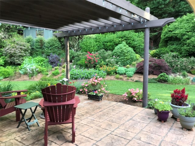 308 E Sondley Dr, Asheville, NC 28805 - photo 27