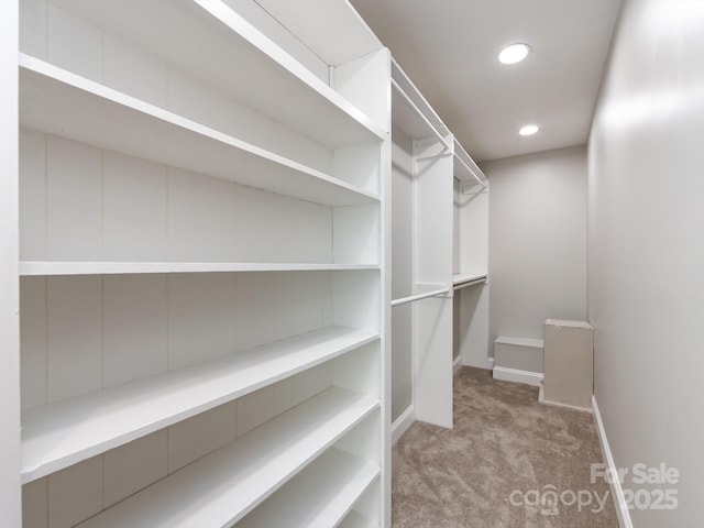 spacious closet with light carpet