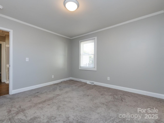 carpeted empty room with crown molding