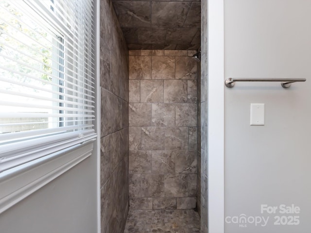 bathroom featuring a healthy amount of sunlight and tiled shower