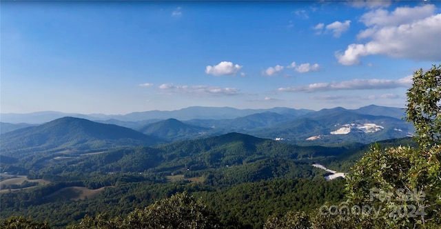 0 Arrowhead Ridge Rd, Spruce Pine, NC 28777