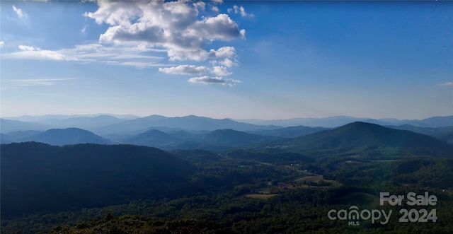 0 Arrowhead Ridge Rd, Spruce Pine, NC 28777