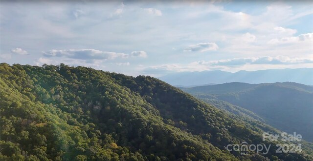0 Arrowhead Ridge Rd, Spruce Pine, NC 28777