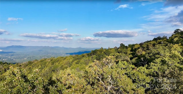 0 Arrowhead Ridge Rd, Spruce Pine, NC 28777