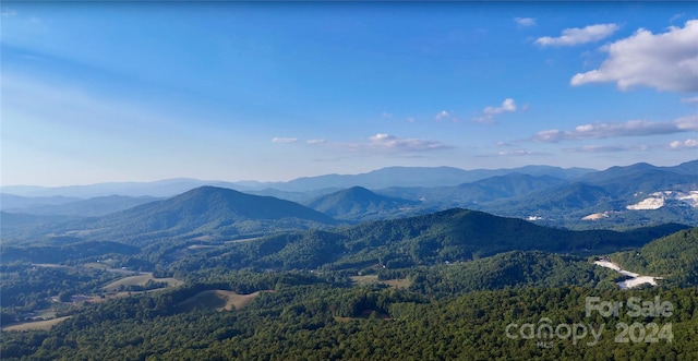 0 Arrowhead Ridge Rd, Spruce Pine, NC 28777