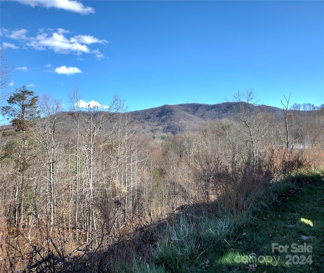0 Arrowhead Ridge Rd, Spruce Pine, NC 28777