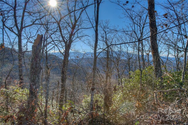 0 Arrowhead Ridge Rd, Spruce Pine, NC 28777